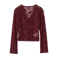 Lace V-neck Long-sleeve Blouse Top