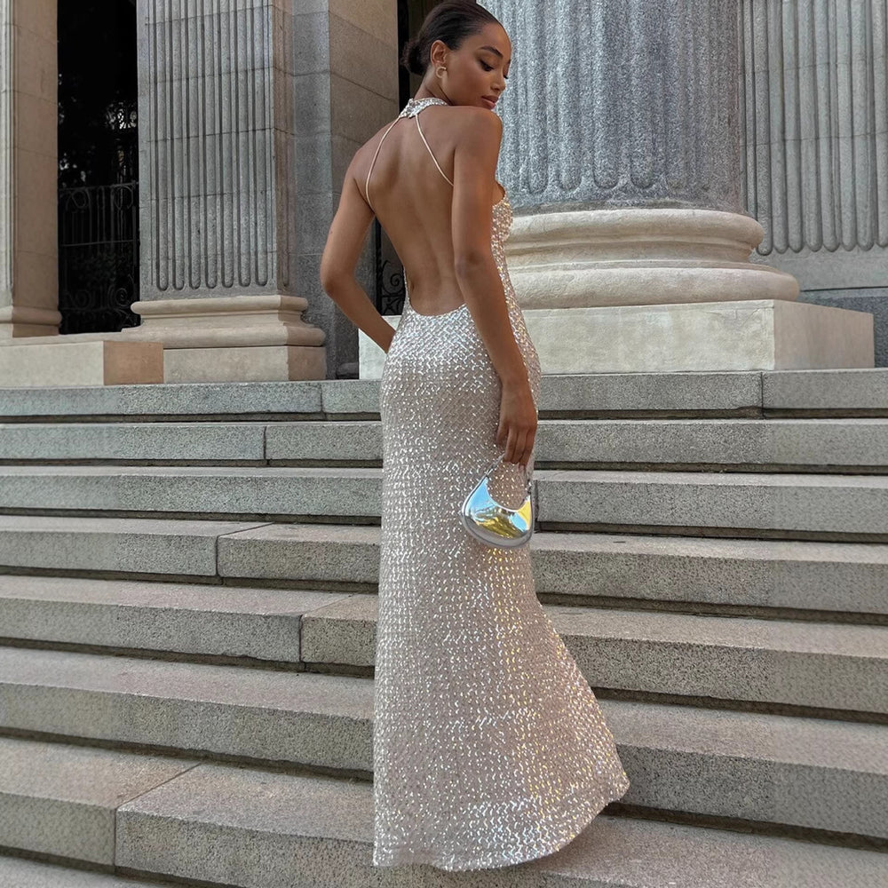 Elegant A-line Tulle Evening Gown