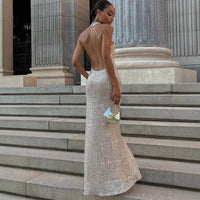 Elegant A-line Tulle Evening Gown