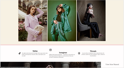 The Store: New up & running, The next generation of online shopping is here!!!