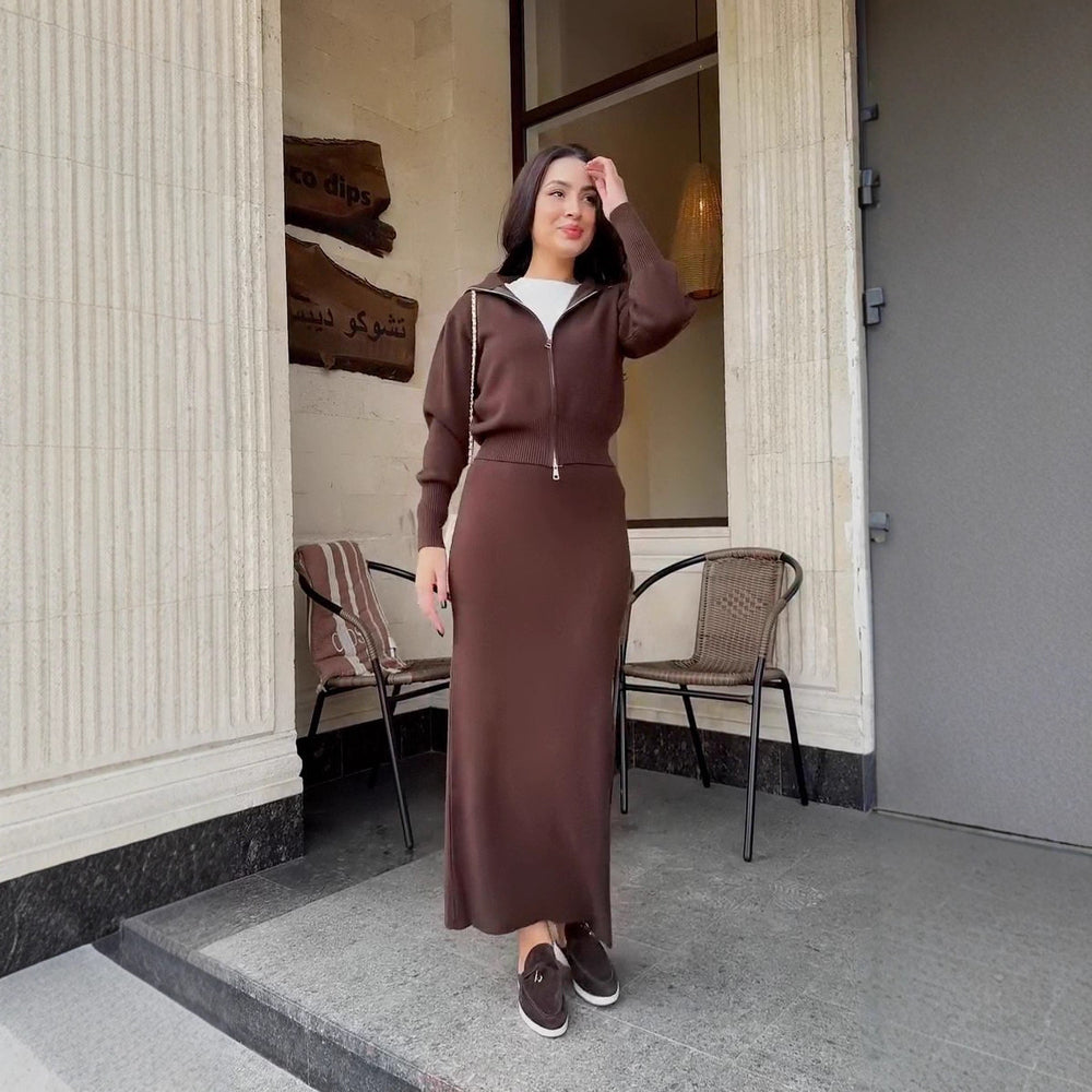 Elegant Long-sleeve Zip-front Waist-cinching Knit Sheath Dress For Women
